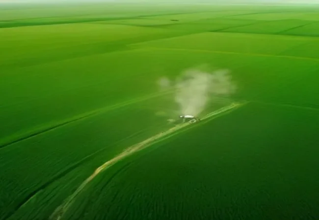 Bioinsumos e Controle Biológico de Pragas em 2026: A Redução de Agrotóxicos na Agricultura em Grande Escala